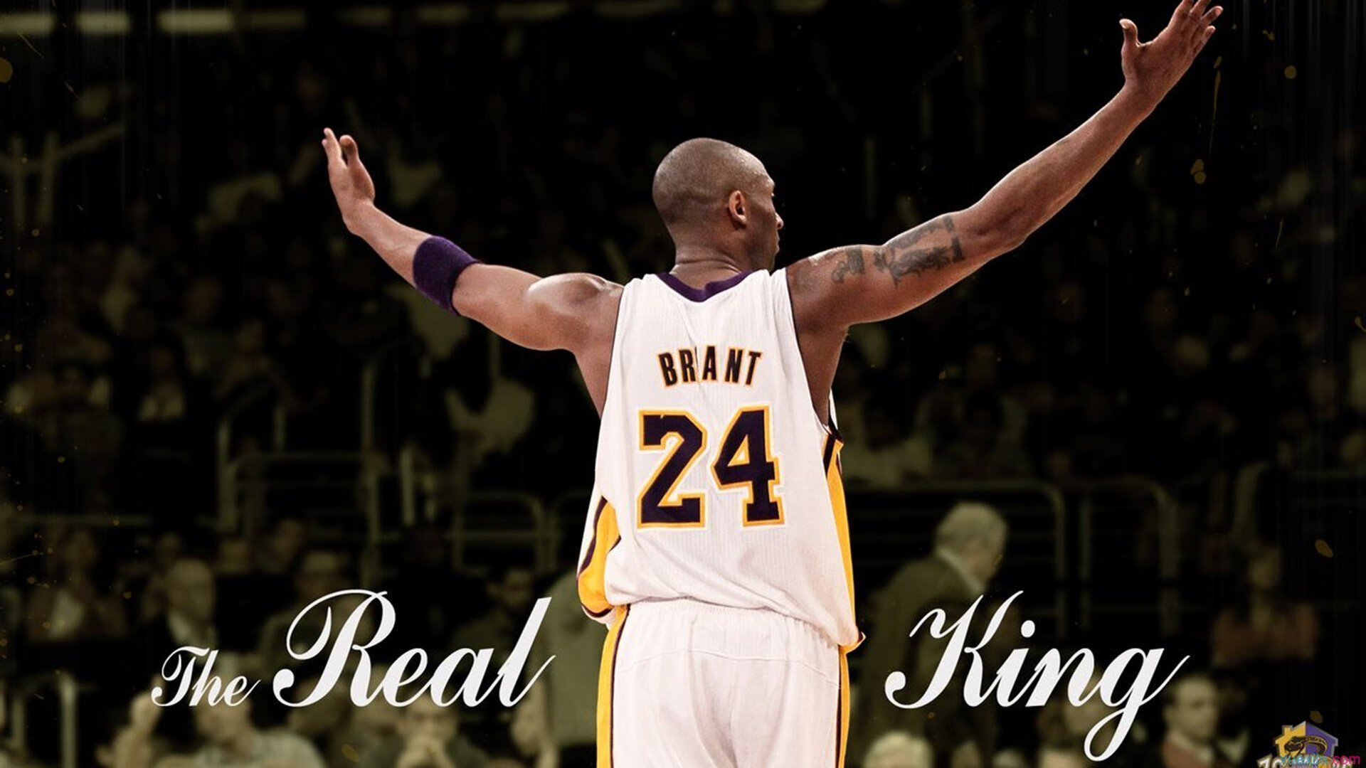 体育新闻中心承办体育影像创新传播作品展,体育新闻摄影教程