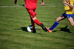 乐鱼官网介绍-世界青少年自行车赛中国骑手再创佳绩，2020全国青少年自行车锦标赛