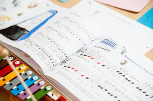 乐鱼体育app下载地址-中小学体育课安全教育实施现状研究，体育课堂安全背景下的小学体育课现状